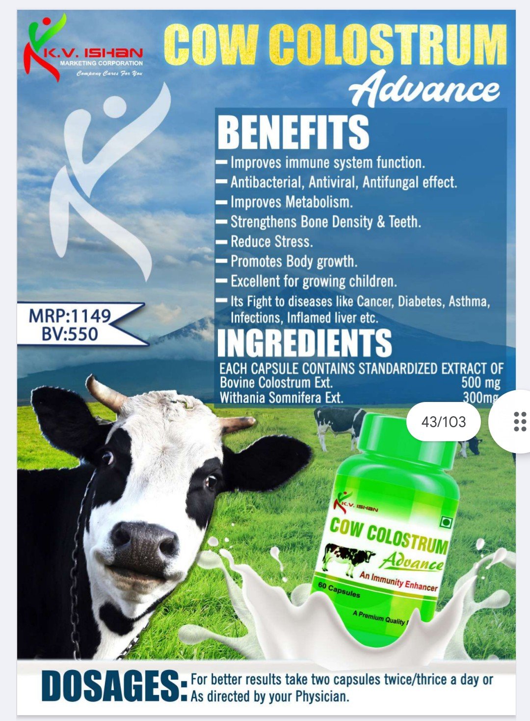 ADV CURCUMIN 800MG